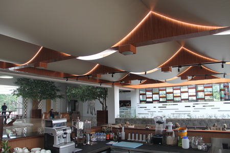 SKYLIGHT-BLINDS-2