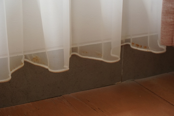 Mau Vitrase Rumah Selalu Terlihat Elegan Coba 5 Tips Ini Sekarang!