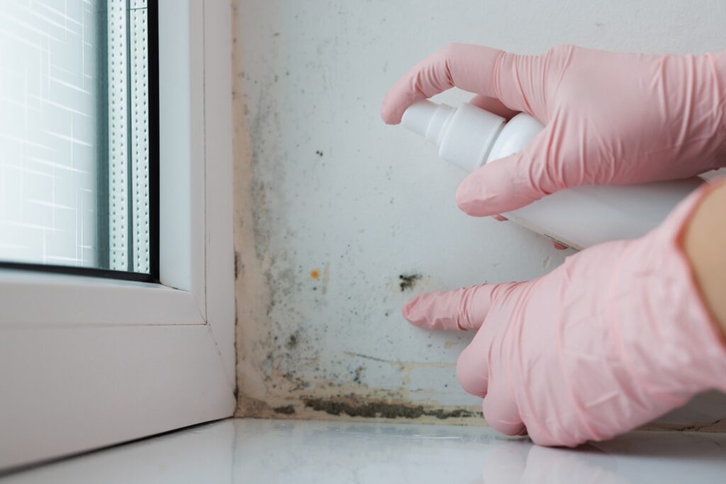 TIPS DINDING BEBAS LUMUT