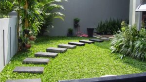 4 Rekomendasi Tanaman untuk Membuat Taman Kecil Rumah Anda Menjadi Teduh, Sejuk, dan Terlihat Lega