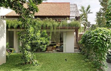 4 Tips Memilih Tanaman untuk Menciptakan Taman Rumah yang Teduh dan Sejuk