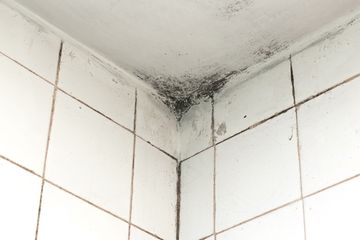 Gara-Gara 4 Trik Ini, Lumut Nggak Berani Mampir Lagi ke Kamar Mandimu