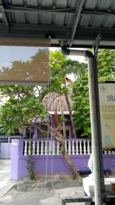 puskesmas surakarta